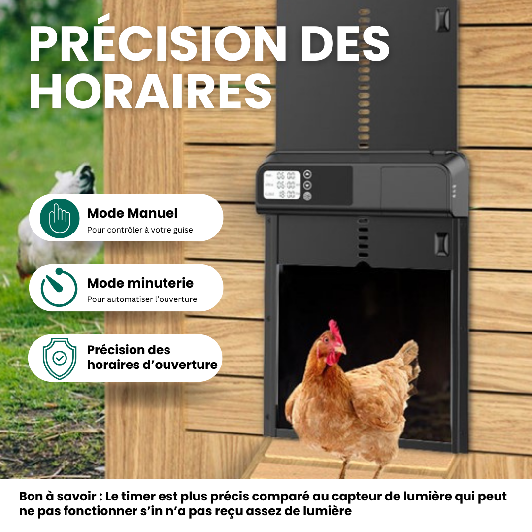Porte Poulailler Automatique