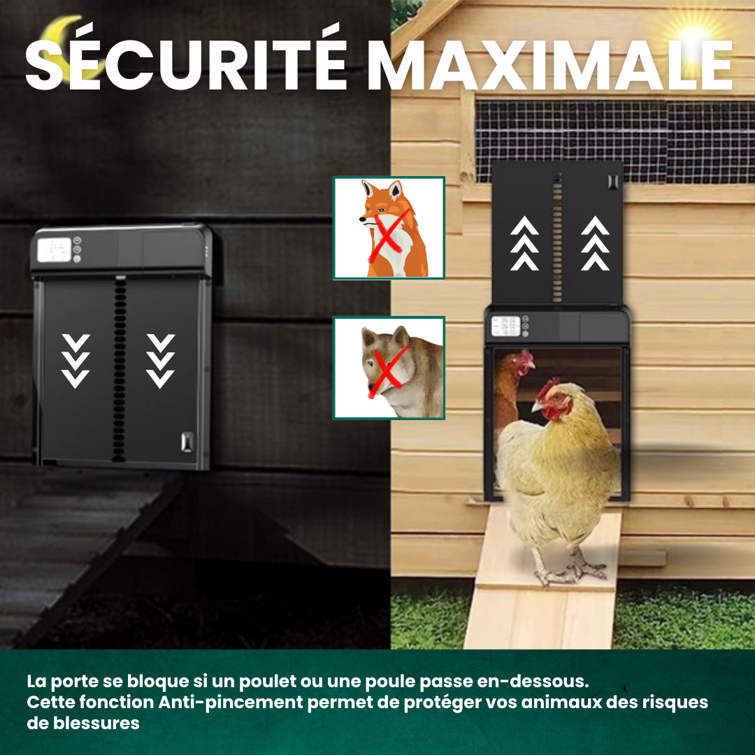 Porte Poulailler Automatique