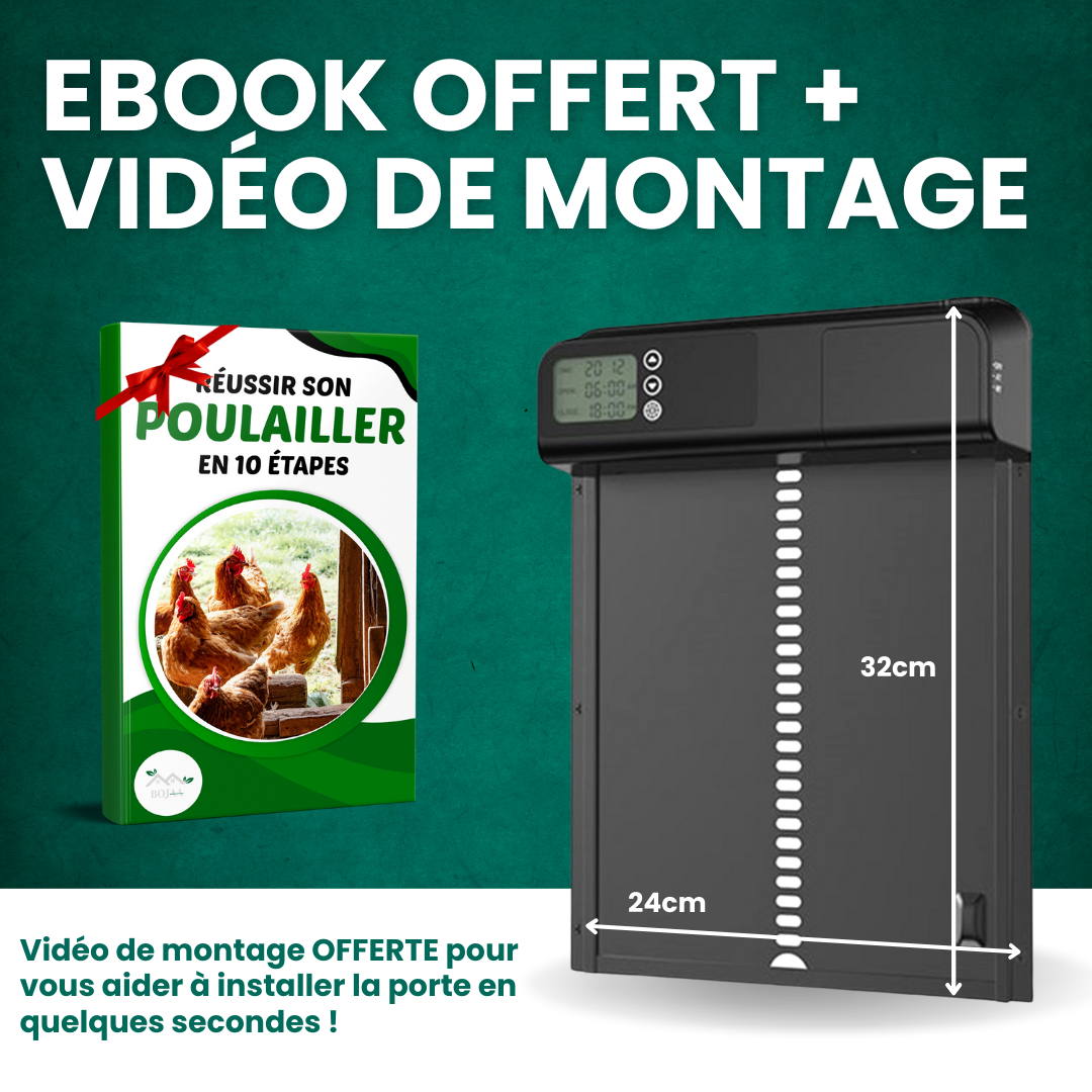 Porte Poulailler Automatique